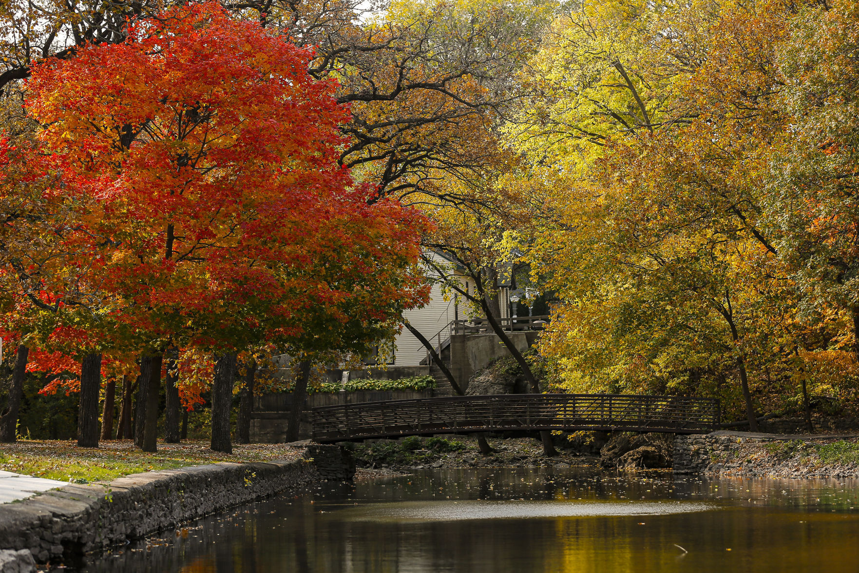 Fall Colors 8